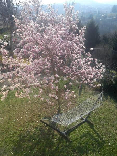 B&B La Taverna Degli Angeli Vezzi Portio ภายนอก รูปภาพ